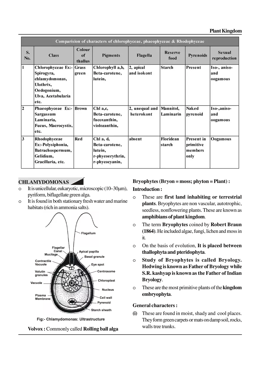 Plant Kingdom - Page 11