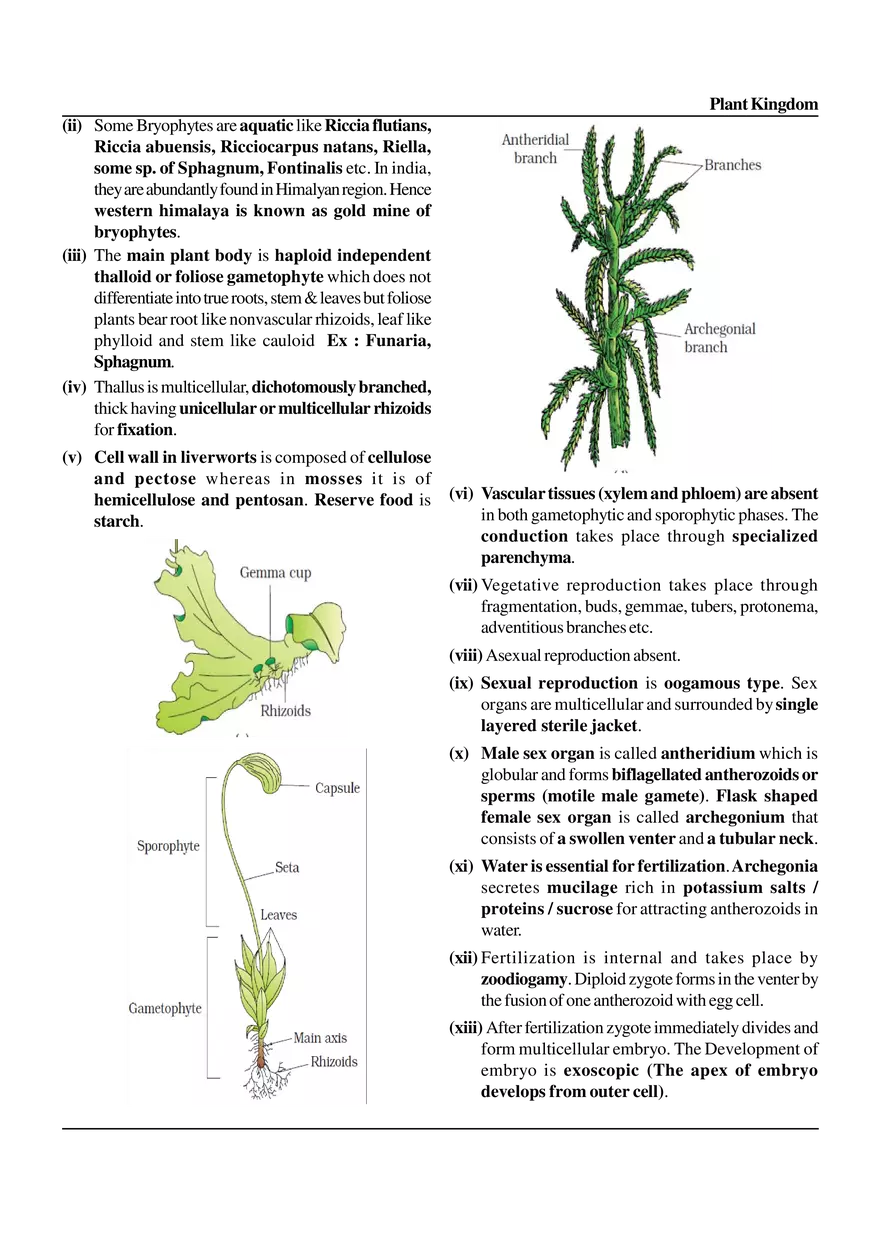 Plant Kingdom - Page 12