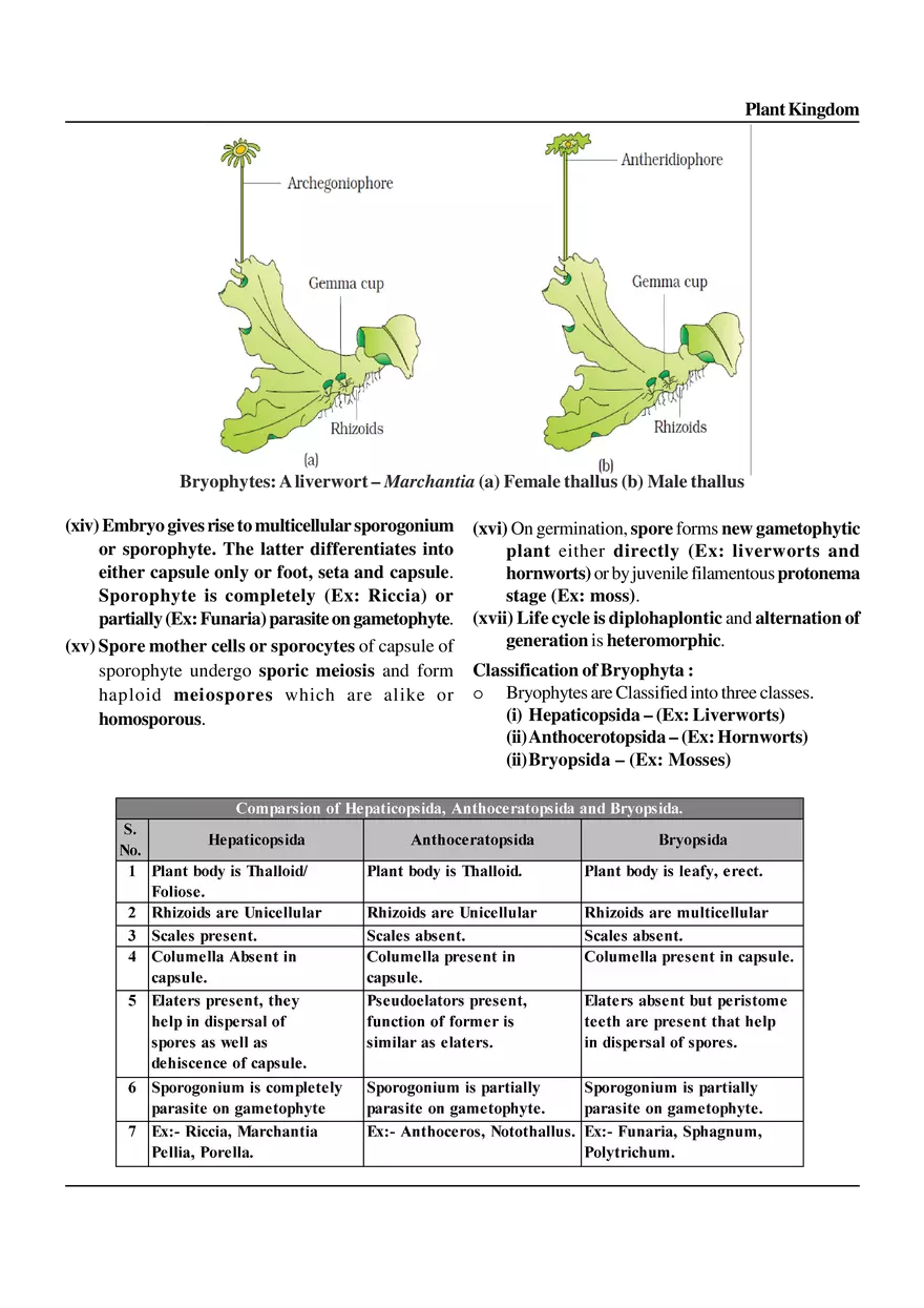 Plant Kingdom - Page 13