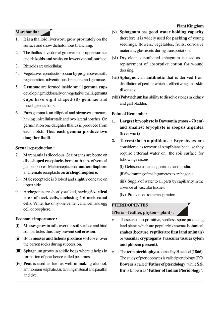 Plant Kingdom - Page 14