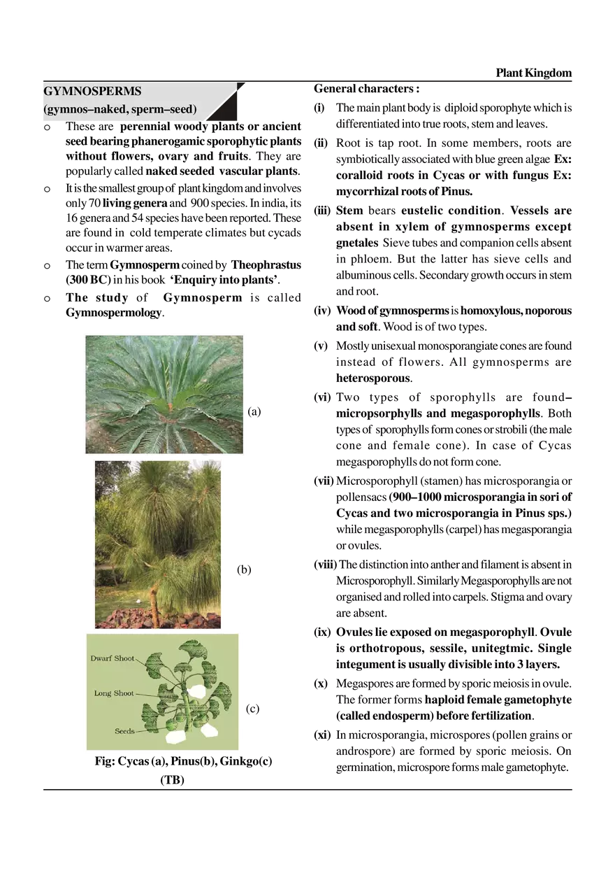 Plant Kingdom - Page 4