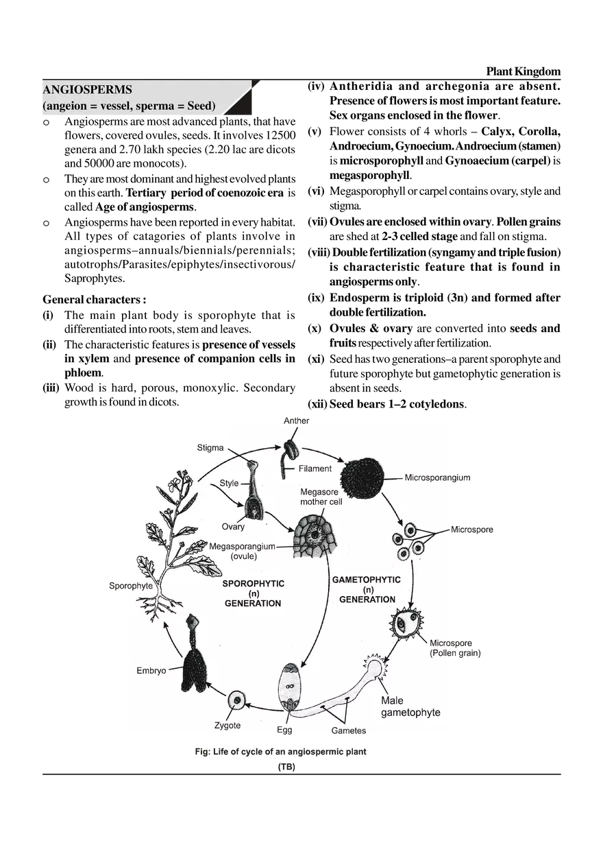 Plant Kingdom - Page 6