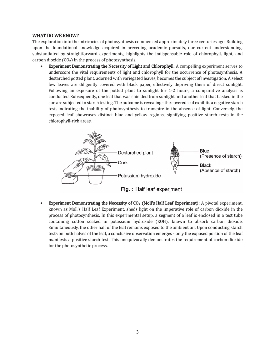 Chapter 11 Photosynthesis in Higher Plants - Page 3
