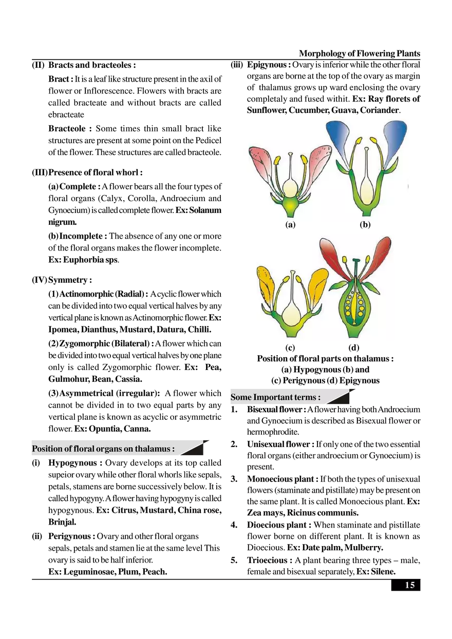 Morphology of Flowering Plants - Page 7