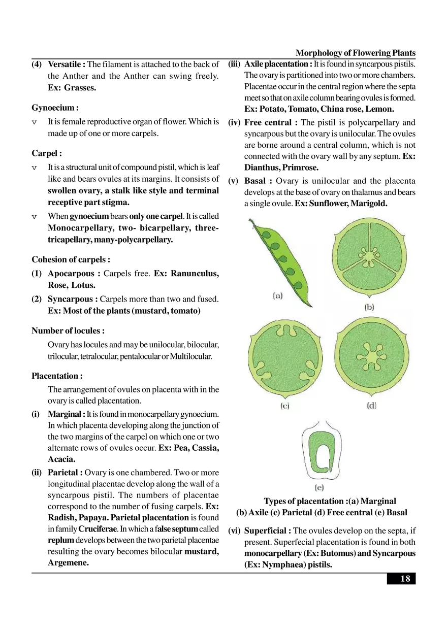 Morphology of Flowering Plants - Page 10