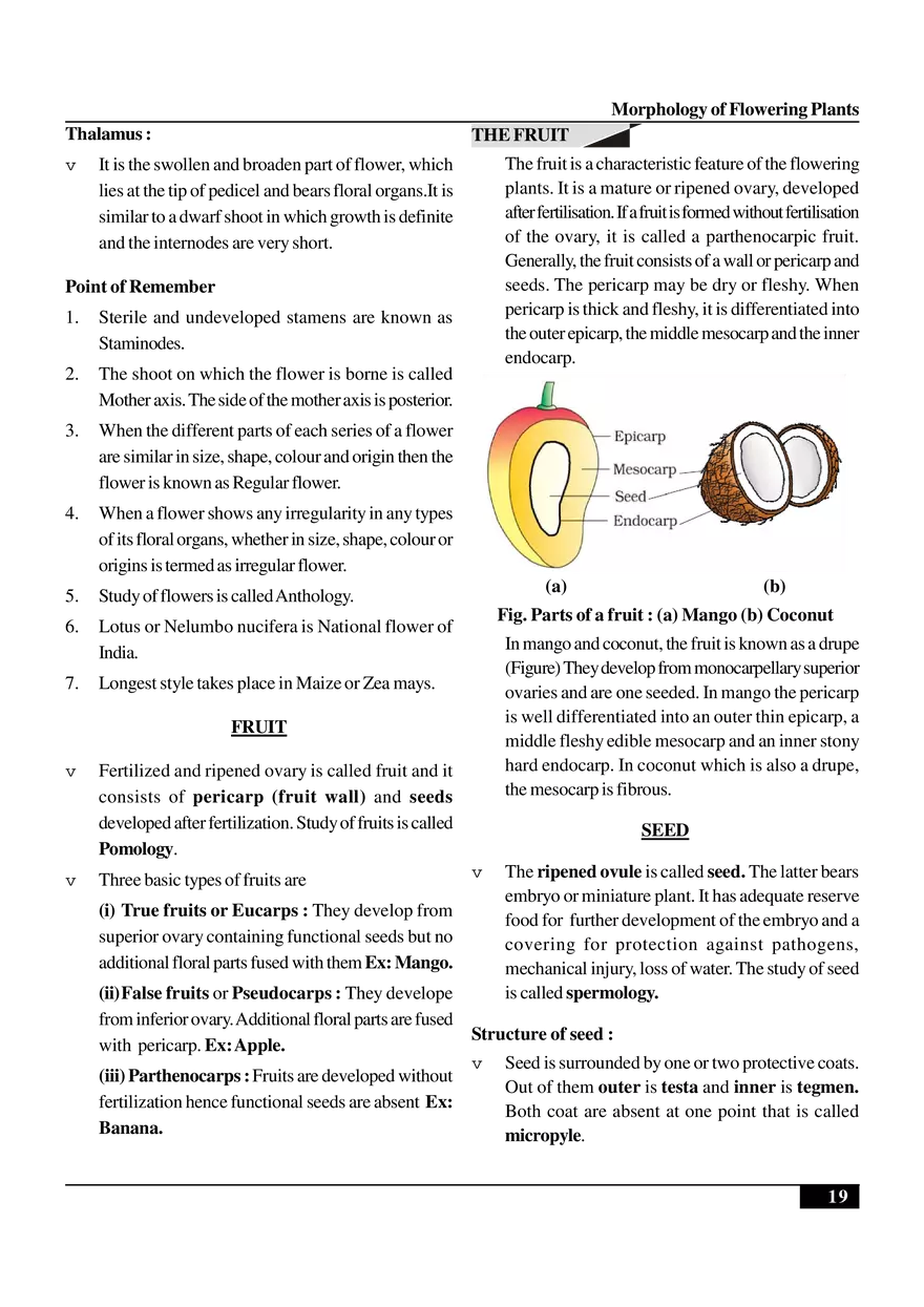 Morphology of Flowering Plants - Page 11