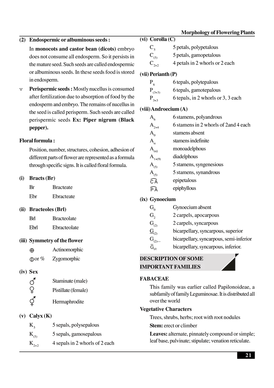 Morphology of Flowering Plants - Page 14