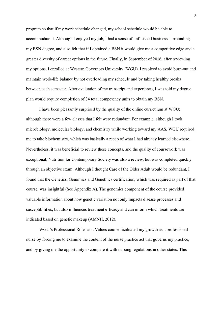 Professional Summary - Page 2