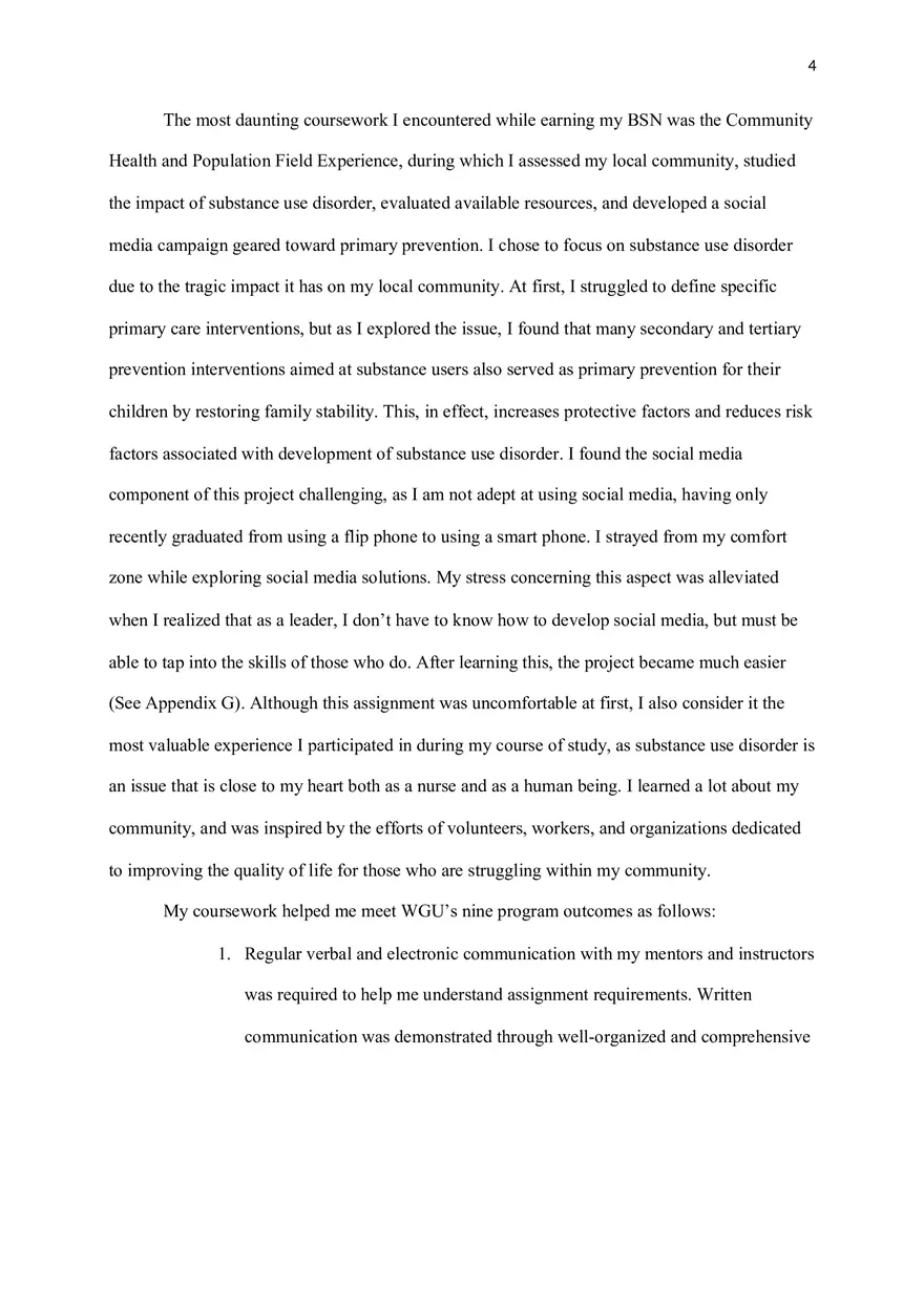 Professional Summary - Page 4