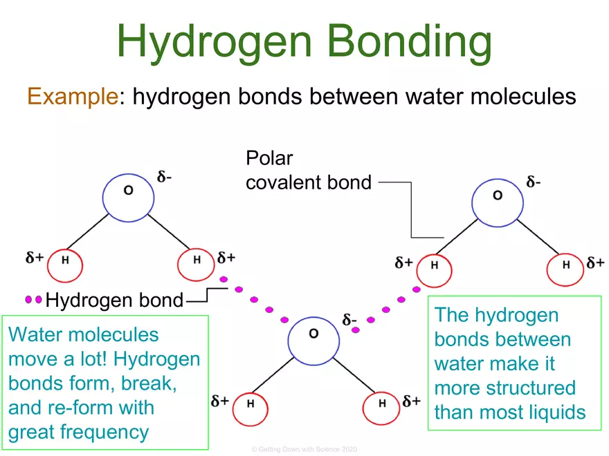 Structure of Water and Hydrogen Bonding - Page 7