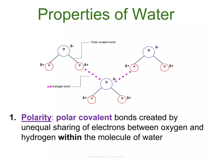 Structure of Water and Hydrogen Bonding - Page 10