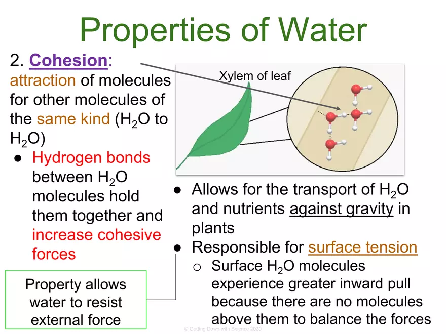 Structure of Water and Hydrogen Bonding - Page 11
