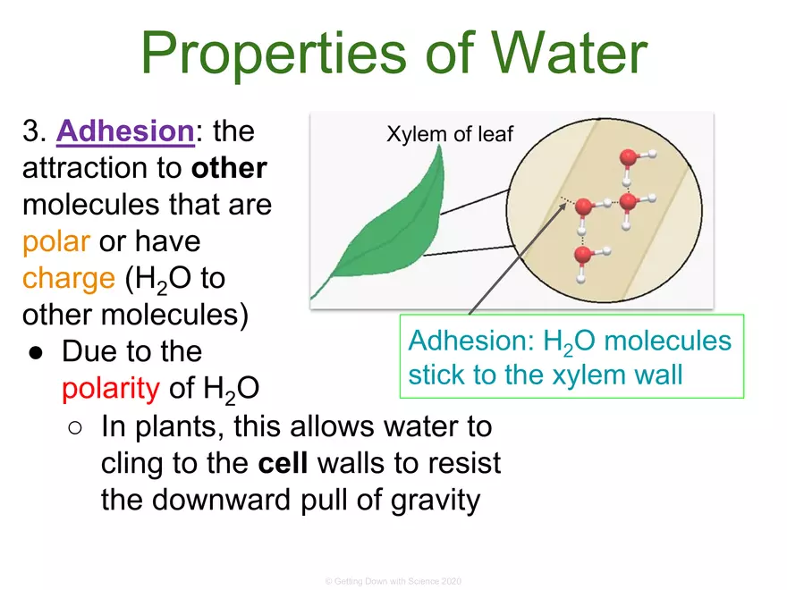 Structure of Water and Hydrogen Bonding - Page 12