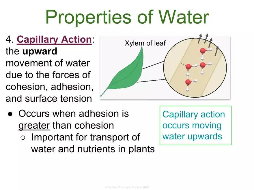 Structure of Water and Hydrogen Bonding - Page 15