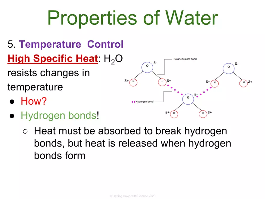 Structure of Water and Hydrogen Bonding - Page 16