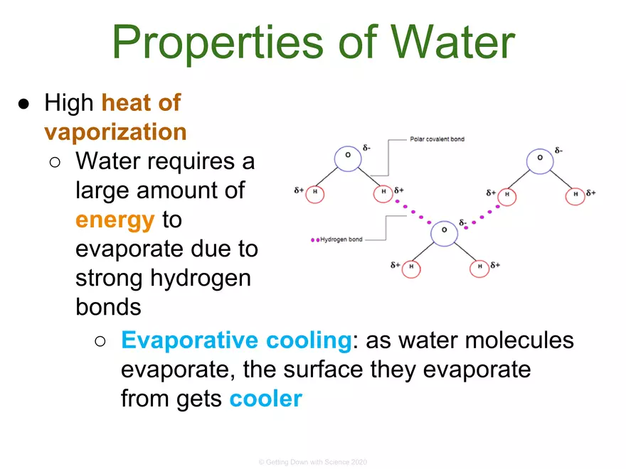 Structure of Water and Hydrogen Bonding - Page 18