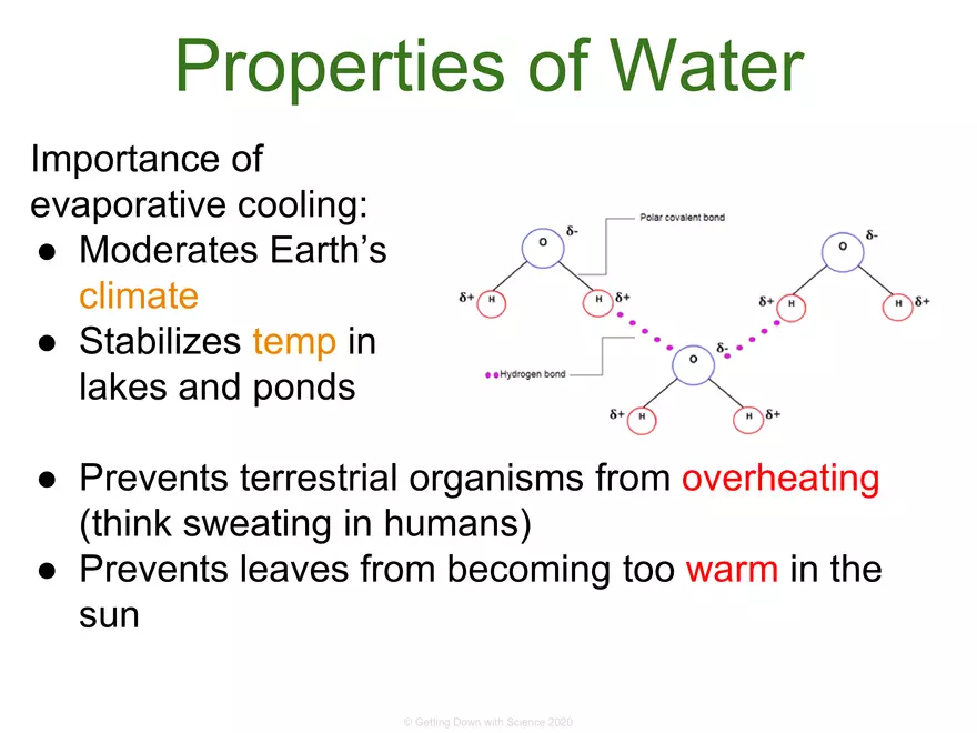 Structure of Water and Hydrogen Bonding - Page 19