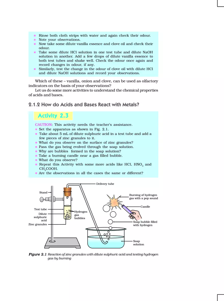 Chapter 2 Acids, Bases and Salts - Page 13