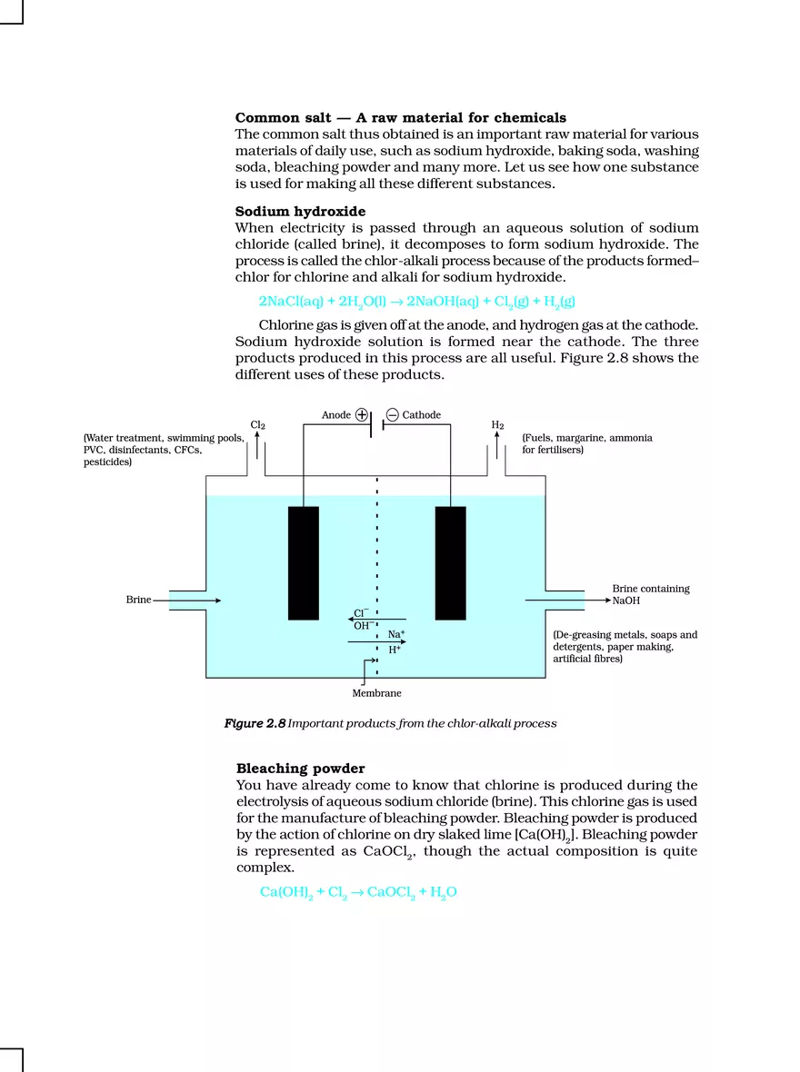 Chapter 2 Acids, Bases and Salts - Page 6