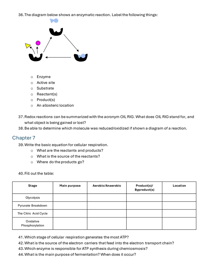 Biology Final Exam Review Fall 2024 - Page 3