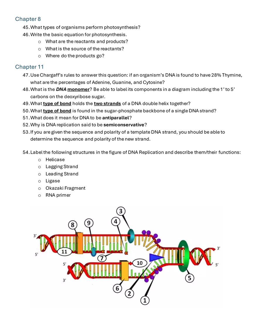 Biology Final Exam Review Fall 2024 - Page 4