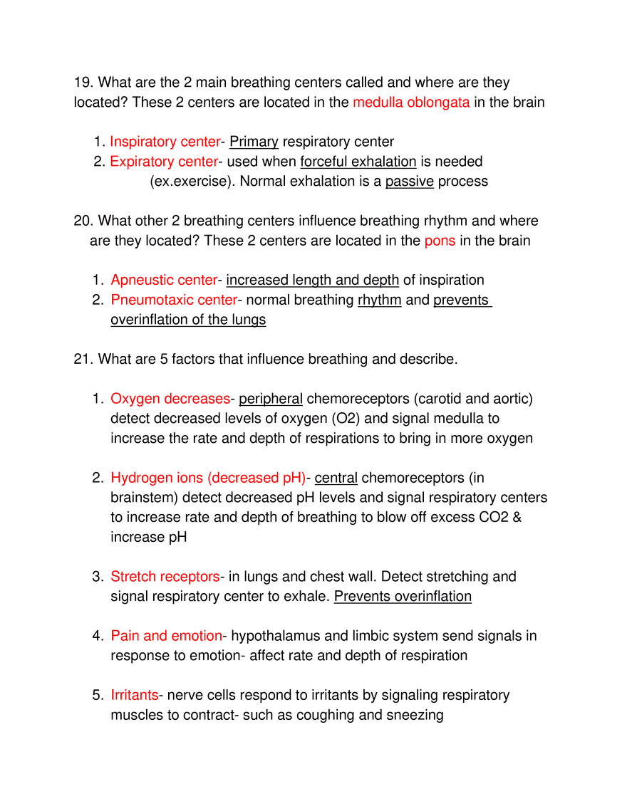 Study Guide #18, The Respiratory System - Page 4