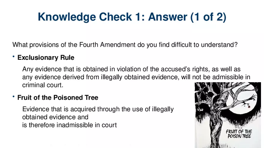 Chapter 7 Police and the Constitution - Page 46