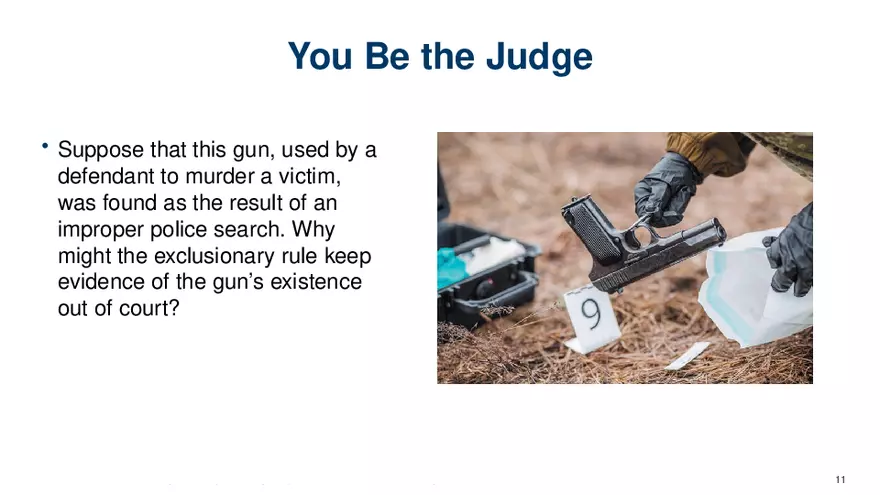 Chapter 7 Police and the Constitution - Page 3