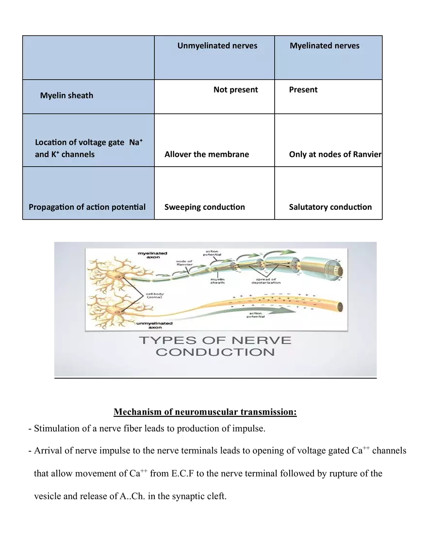 Mechanism of Nerve Impulse Conduction - Page 2