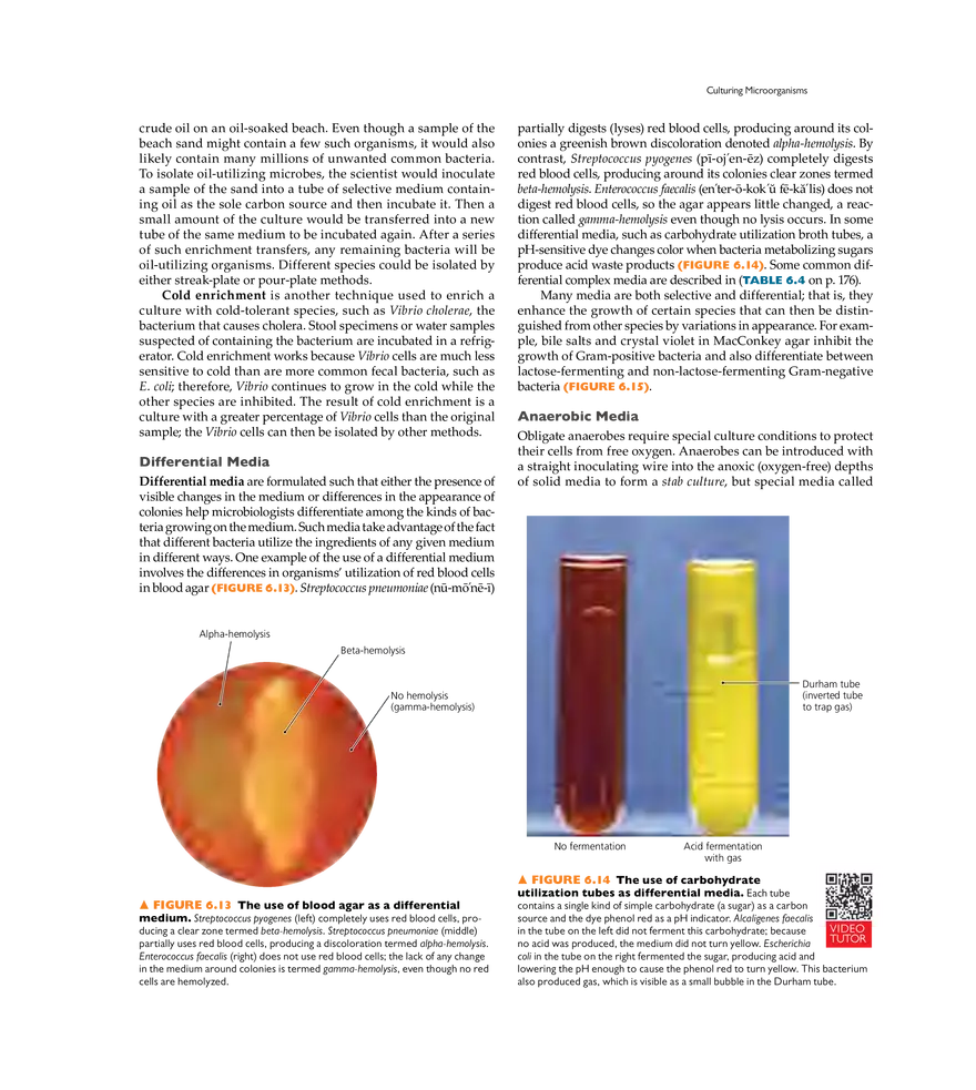 Microbial Nutrition and Growth - Page 7
