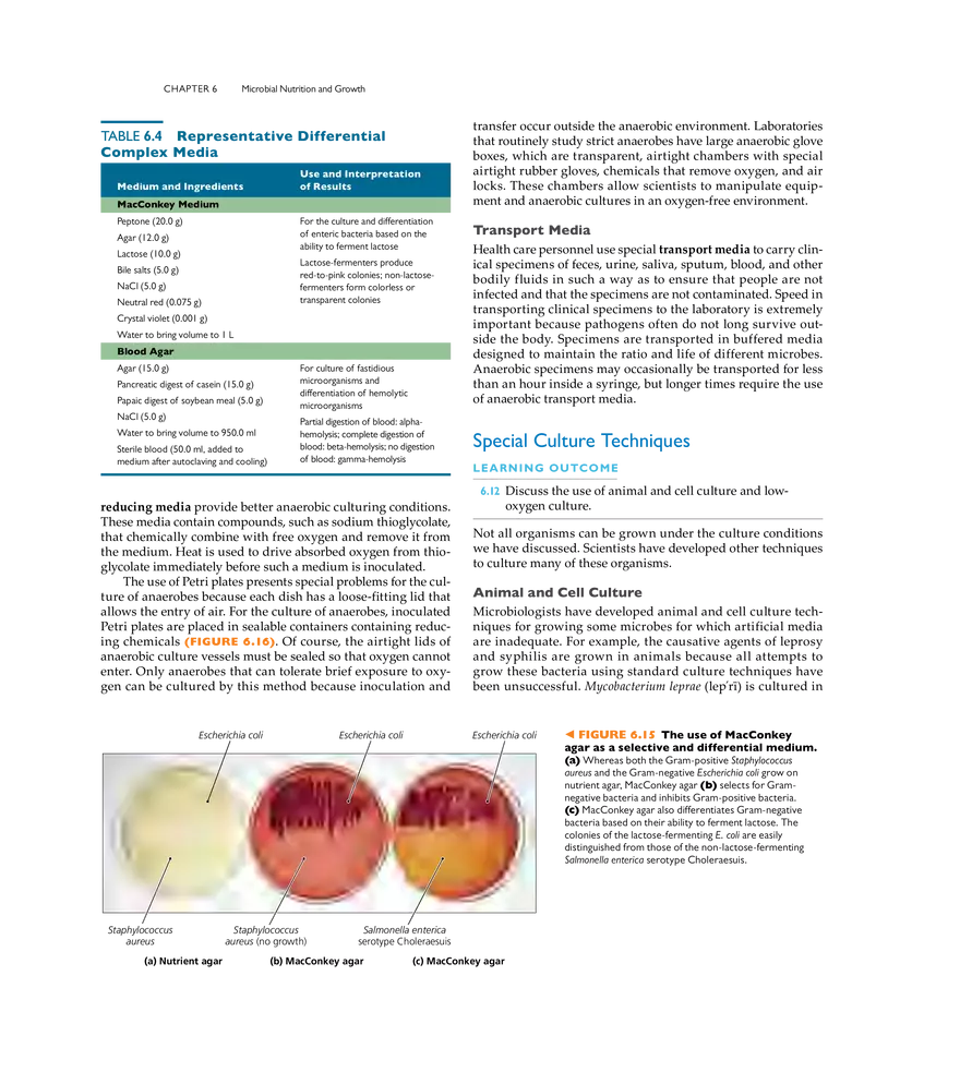 Microbial Nutrition and Growth - Page 8
