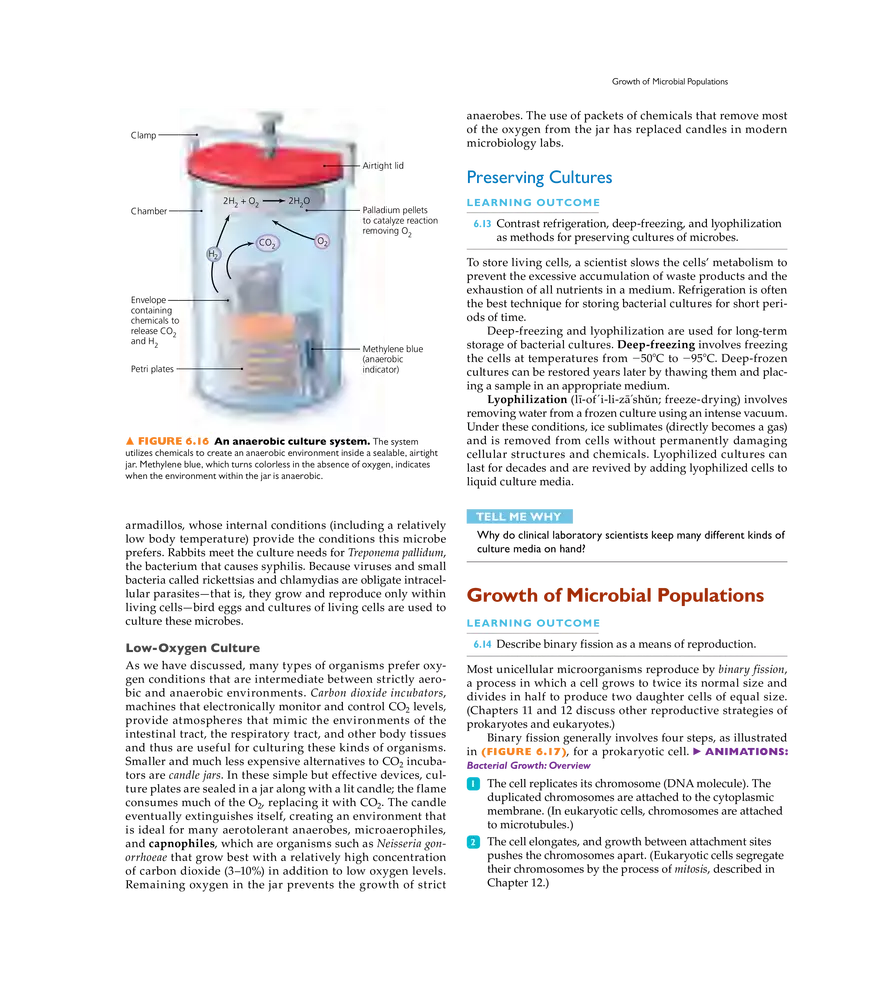 Microbial Nutrition and Growth - Page 9