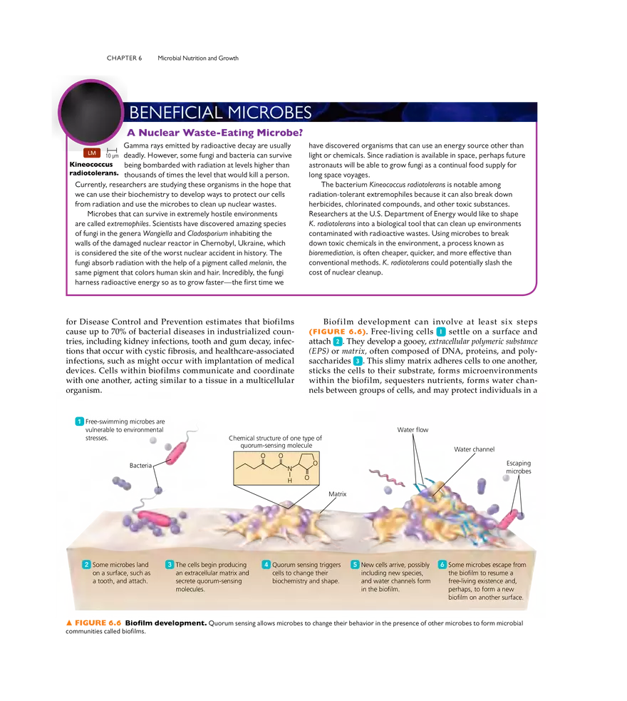 Microbial Nutrition and Growth - Page 29