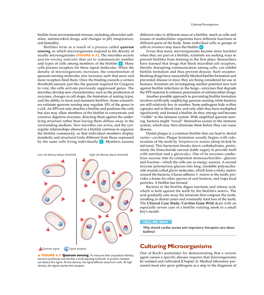 Microbial Nutrition and Growth - Page 30
