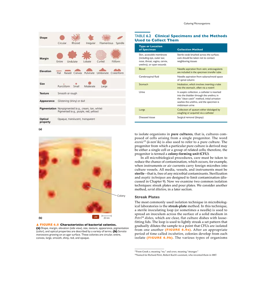 Microbial Nutrition and Growth - Page 3