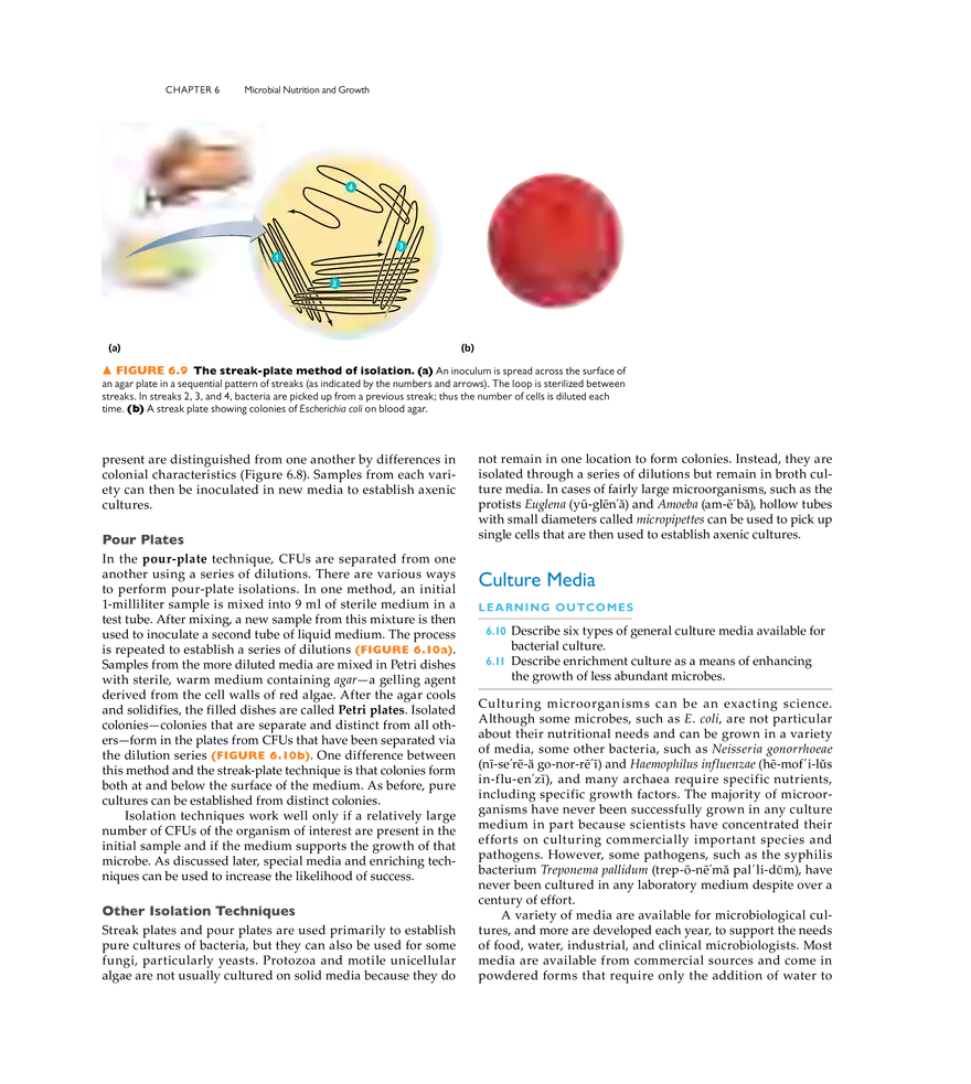 Microbial Nutrition and Growth - Page 4
