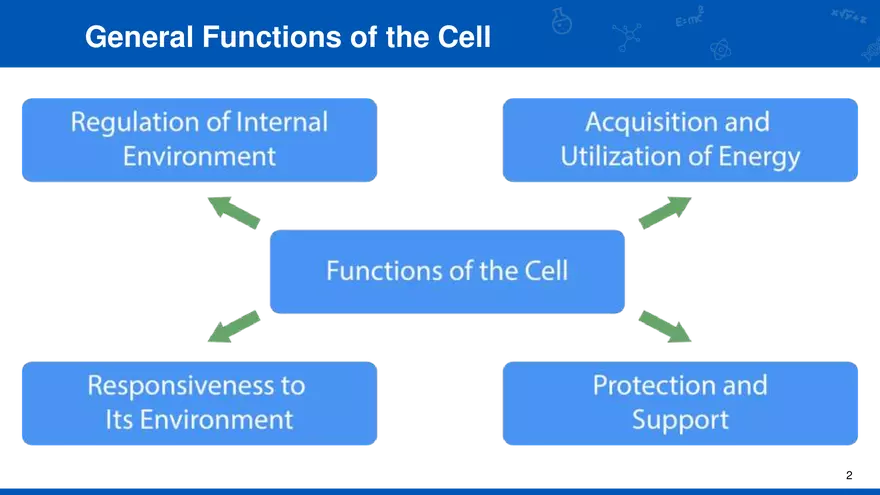 General Functions of the Cell - Page 1