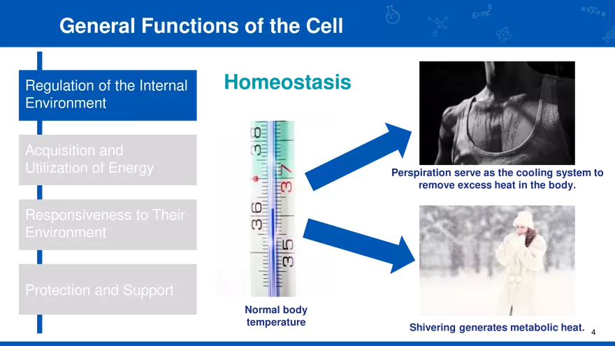General Functions of the Cell - Page 3