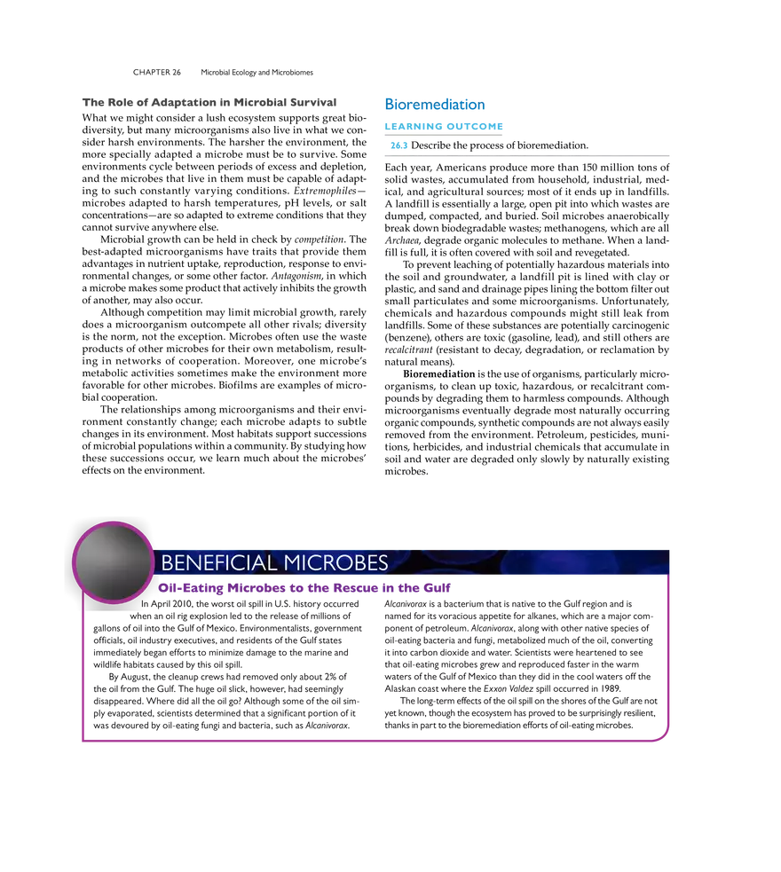 Microbial Ecology and Microbiomes - Page 11