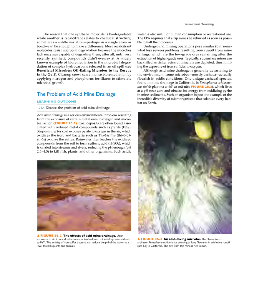 Microbial Ecology and Microbiomes - Page 12