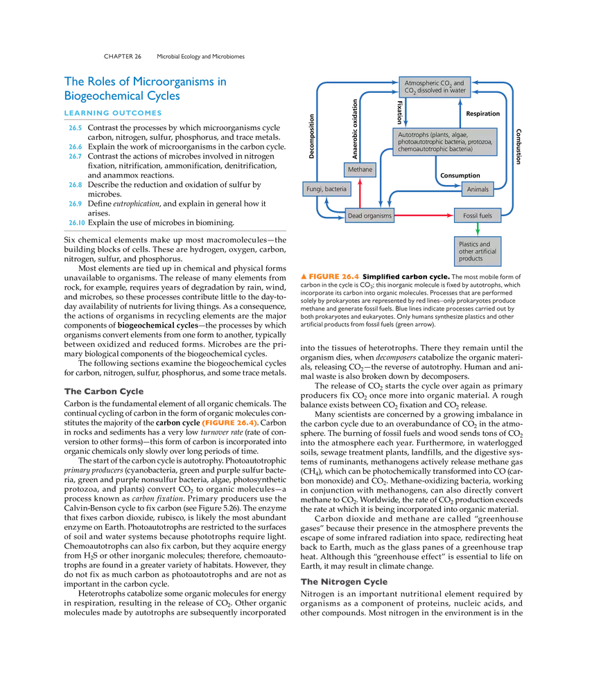 Microbial Ecology and Microbiomes - Page 13
