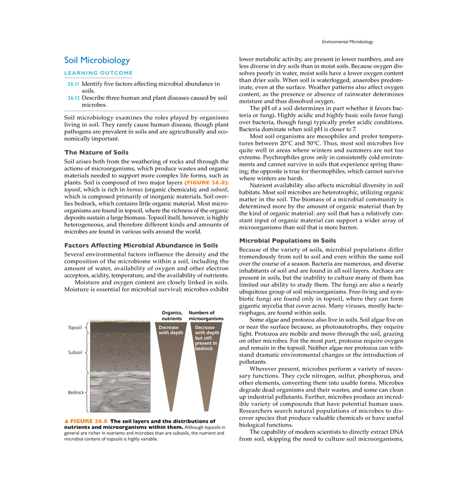 Microbial Ecology and Microbiomes - Page 16