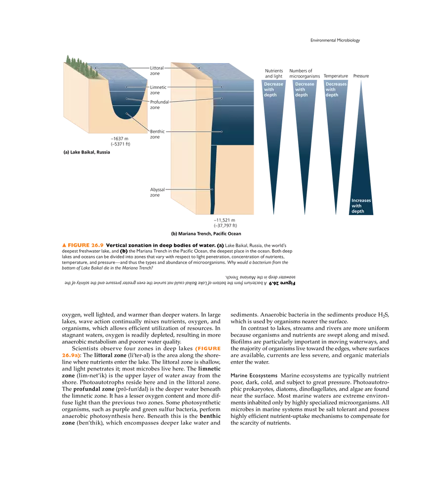 Microbial Ecology and Microbiomes - Page 18