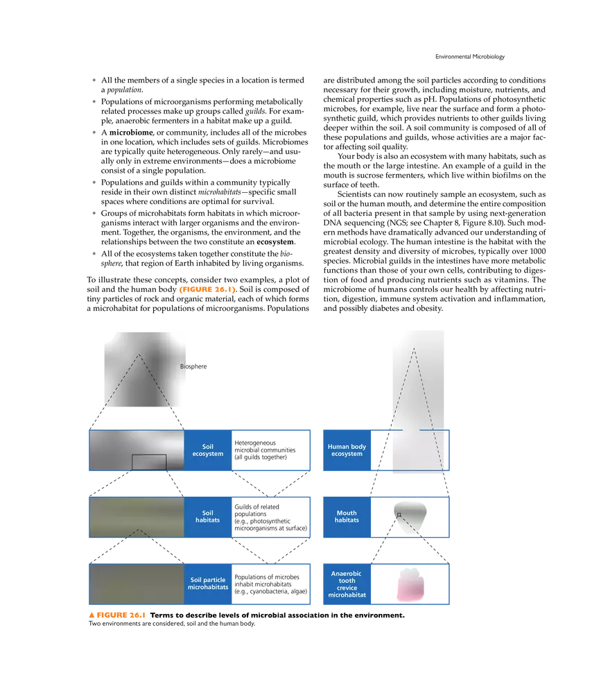 Microbial Ecology and Microbiomes - Page 2