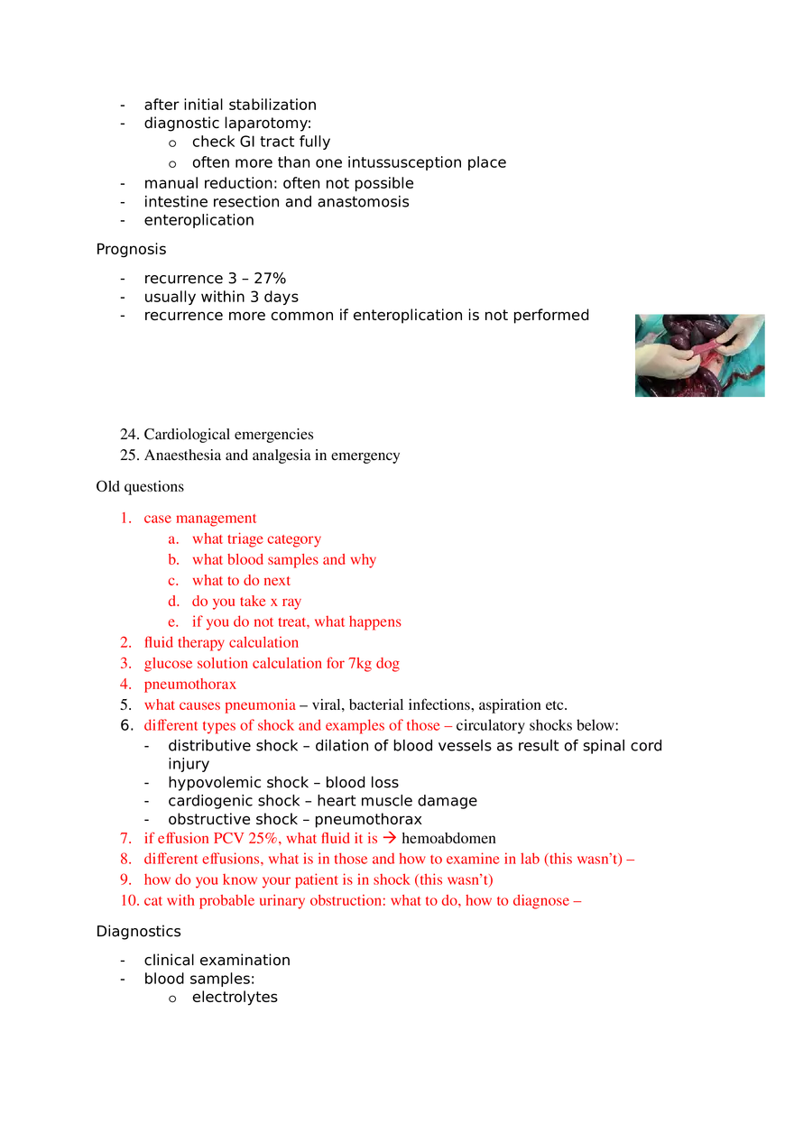 Veterinary Review Questions Part 3 - Page 9