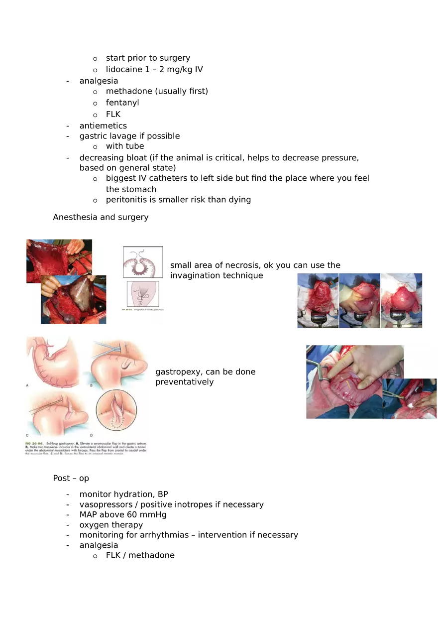Veterinary Review Questions Part 3 - Page 5
