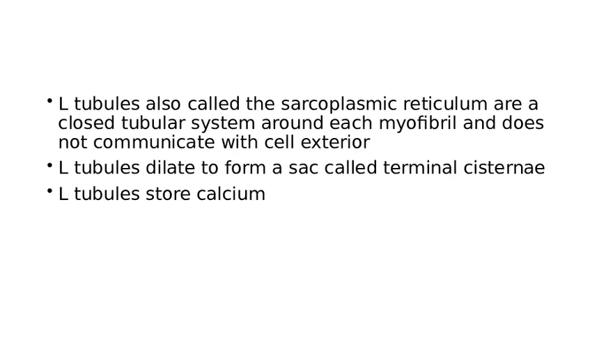 Muscle Structure - Page 8