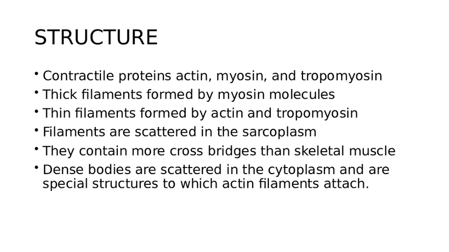 Muscle Structure - Page 10