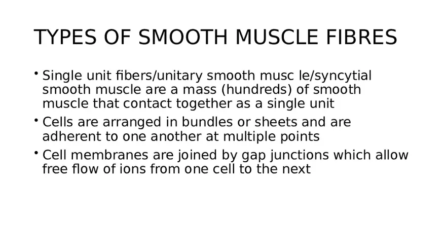 Muscle Structure - Page 12