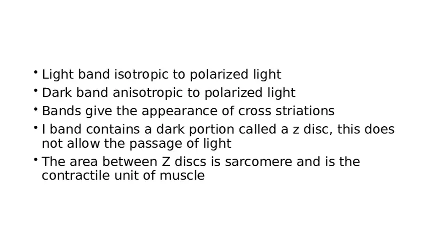 Muscle Structure - Page 21